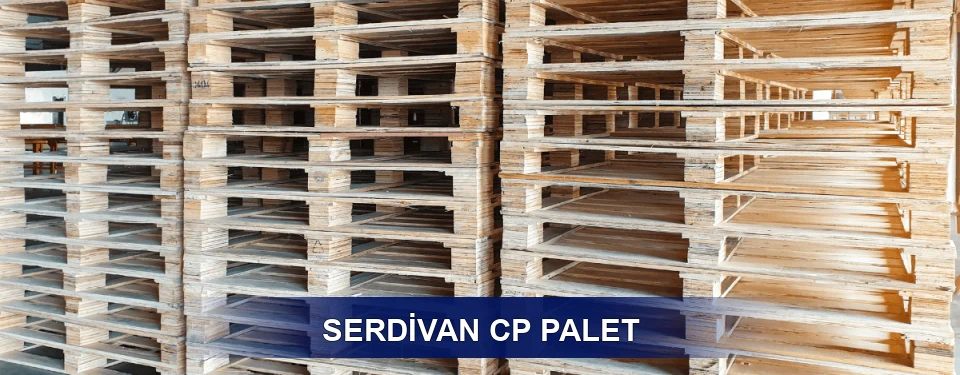 Serdivan Standart Tipler